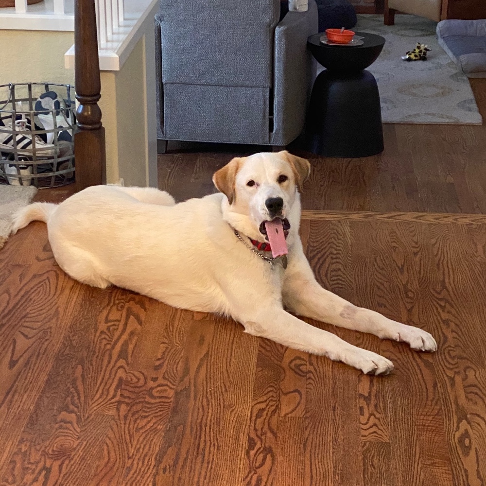 Meet your Posher, Jim